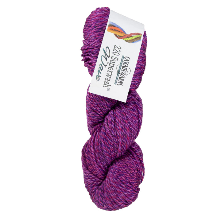 Cascade Yarns 220 Superwash Wave Yarn - 117 Grapes - Zoom Image