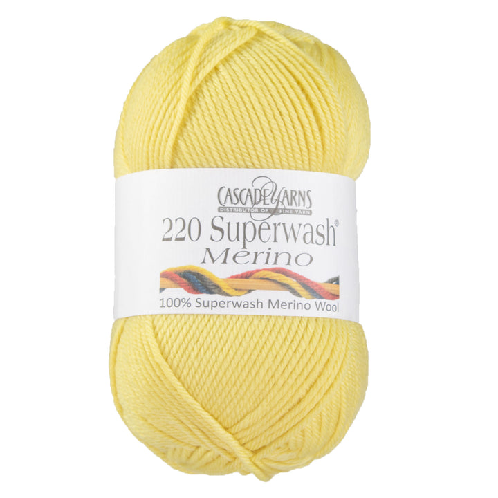 Cascade Yarns 220 Superwash Merino Yarn - 095 Shadow Green - Zoom Image
