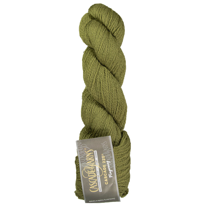 Cascade 220 Fingering Yarn - 1046 Fir Green - Zoom Image