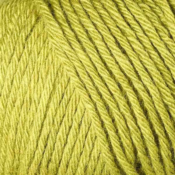 Berroco Renew Yarn - 1368 Grasshopper