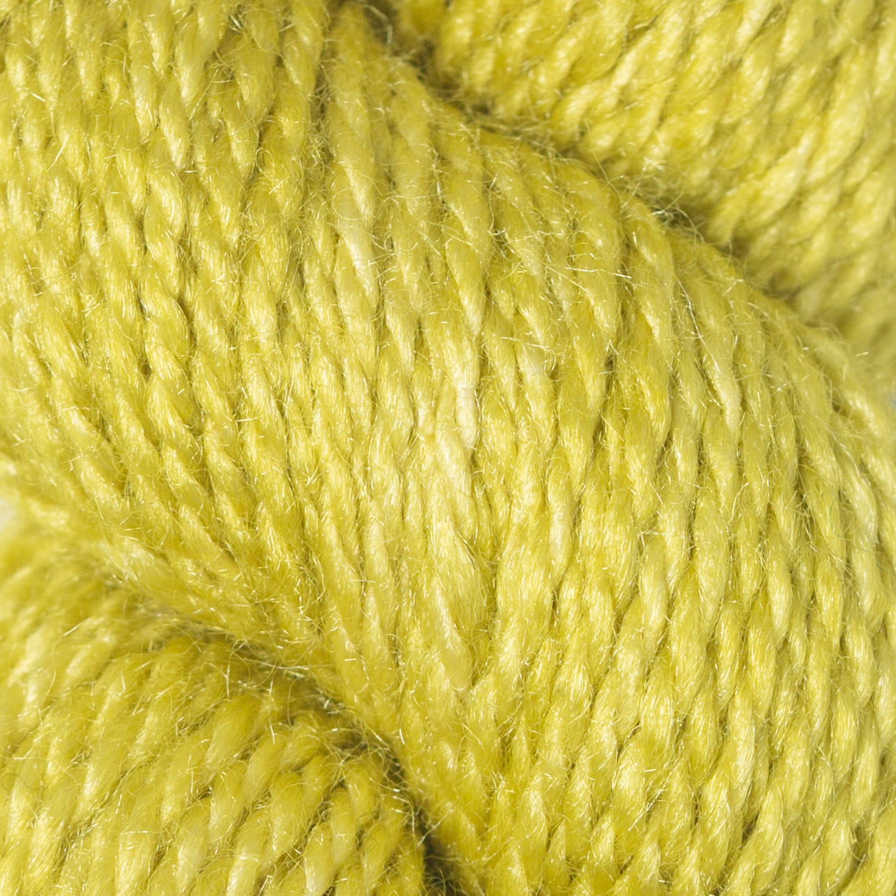 Dream in Color Field Collection: Suzette Yarn - Ginko