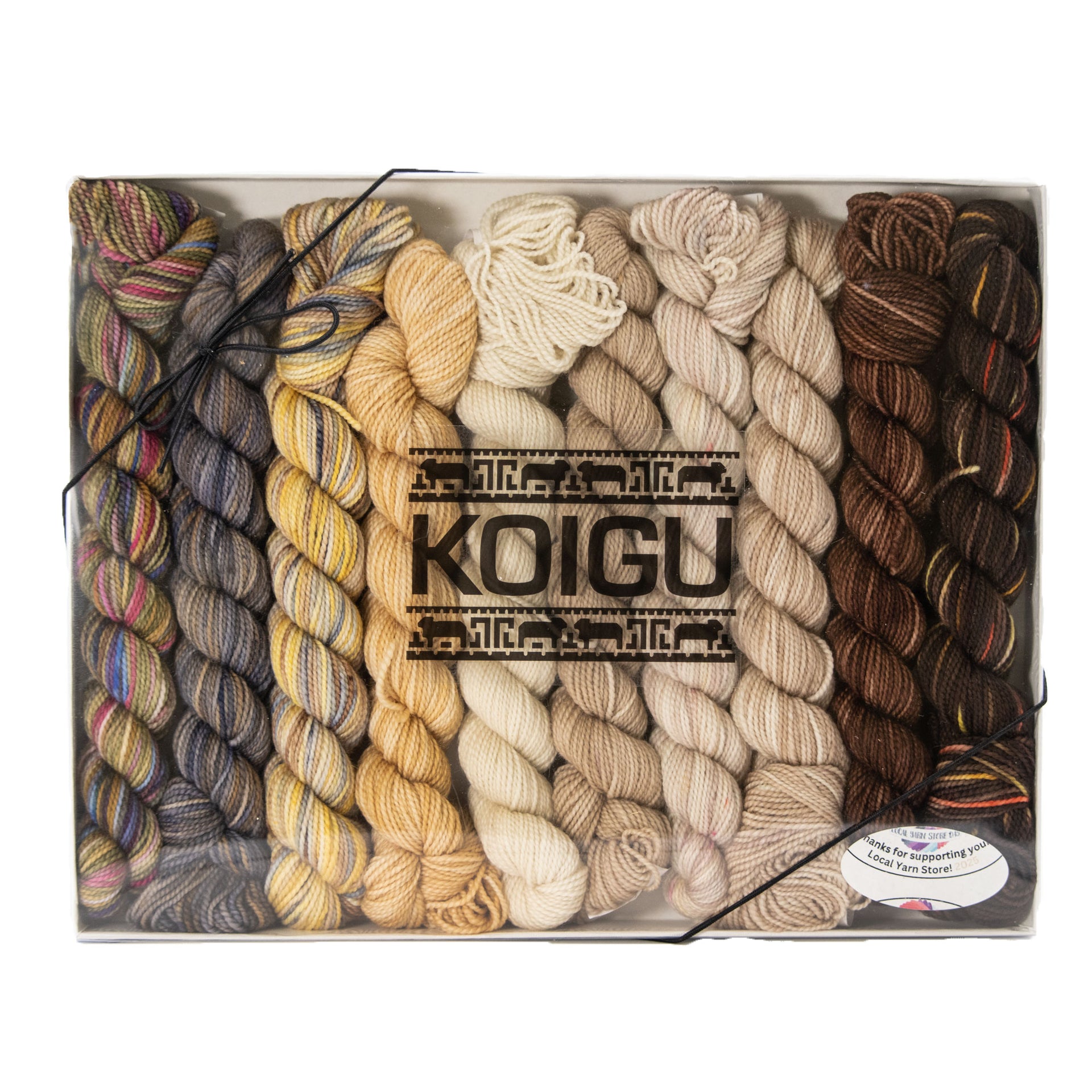 Koigu Pencil Box Yarn - Venation Shawl - Latte
