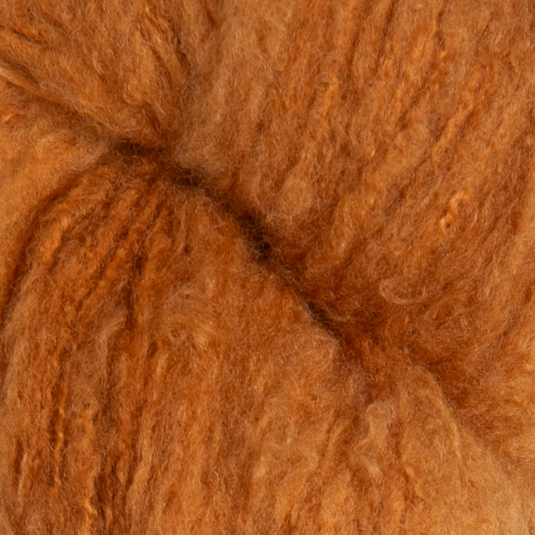 Koigu Andra Yarn - AM26 Pumpkin