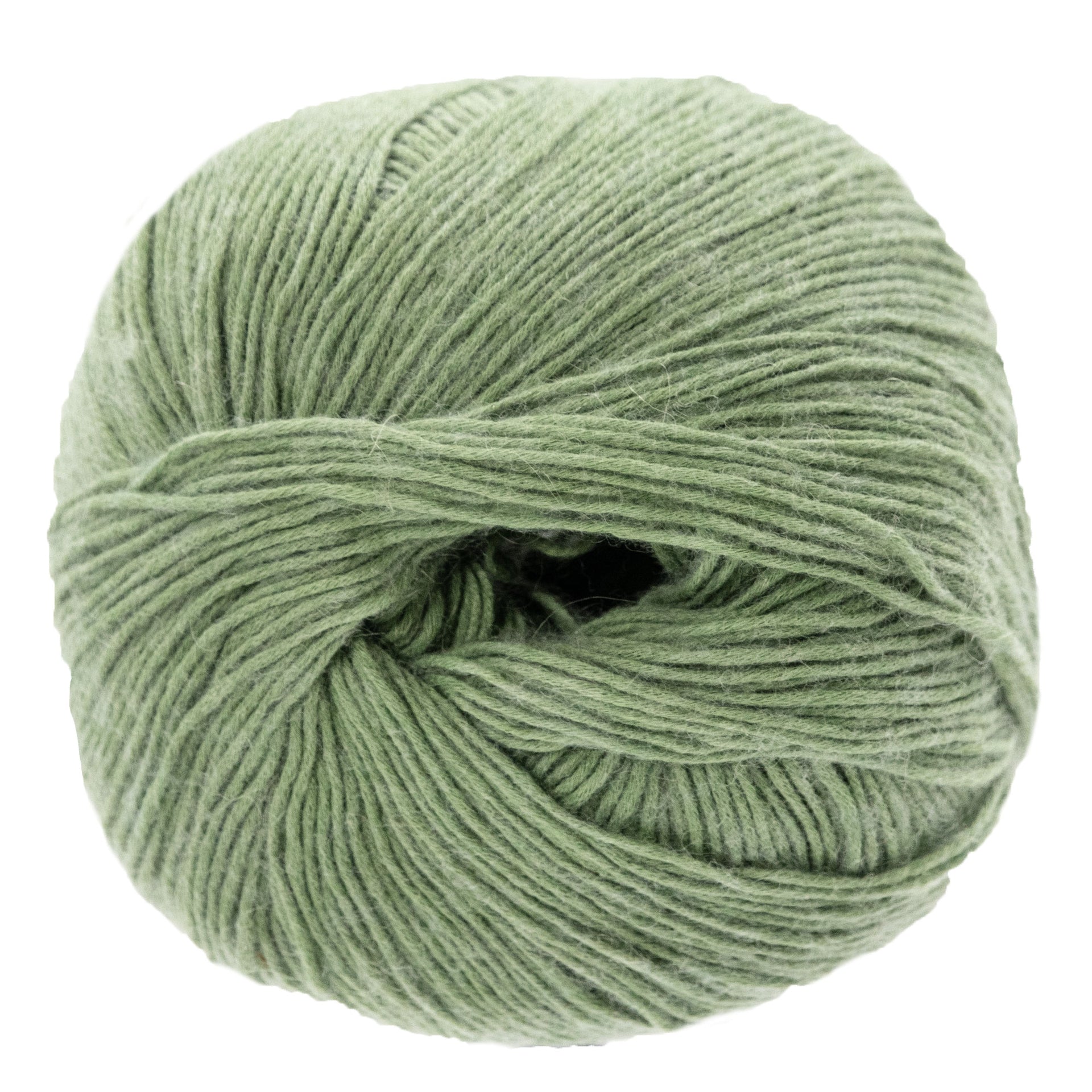Lana Grossa Ecopuno Yarn - 020 Light Green