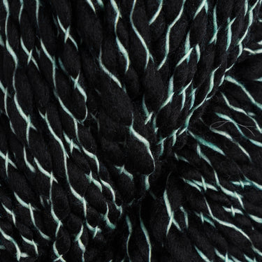 Malabrigo Caracol Yarn - 083 Water Green on Black