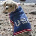 Stitch Mountain Team USA Dog Sweater