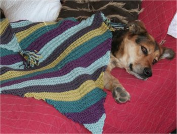 diagonal baby blanket!