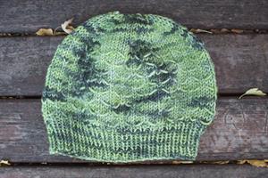Erika's Winter Wheat Hat #1