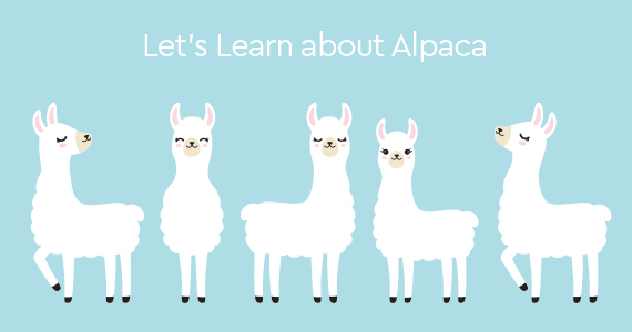 Where does it come from - Alpaca