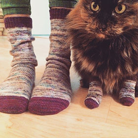 Kitty Tube Socks
