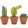 Hardicraft Plush Toys - Cacti (Crochet) Accessories photo