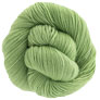 Dream In Color Smooshy - Sprout Yarn photo