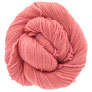 Dream In Color Smooshy Cashmere - Fortune Teller Yarn photo