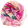 Dream In Color Savvy - Relish The Vote Yarn photo