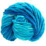 Dream In Color Savvy - Way Cool Yarn photo