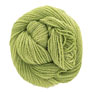 Dream In Color Field Collection: Suzette - Sprout Yarn photo