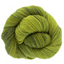Dream In Color Field Collection: Lamb & Goat - Scorched Lime Yarn photo