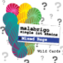 Malabrigo Singles Mixer - Wild Card Kits photo
