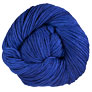 Malabrigo Worsted Merino - 186 Buscando Azul Yarn photo