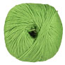 Cascade 220 Superwash - 0802 Green Apple Yarn photo