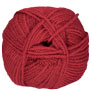 Plymouth Yarn Encore Worsted - 0174 Cranberry Yarn photo