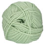 Plymouth Yarn Encore Worsted - 1231 Pale Greenhouse Yarn photo