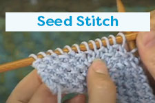 Seed Stitch (Identifying Your Knits from Your Purls)