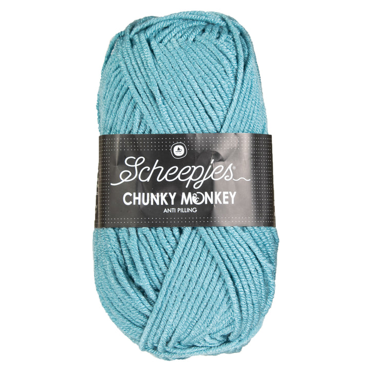 Scheepjes Chunky Monkey Yarn - 1722 Carolina Blue - Zoom Image