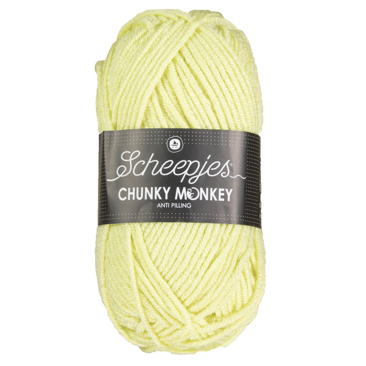Scheepjes Chunky Monkey Yarn - 1020 Mint - Zoom Image