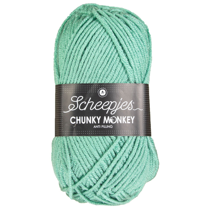 Scheepjes Chunky Monkey Yarn - 1725 Eucalyptus - Zoom Image
