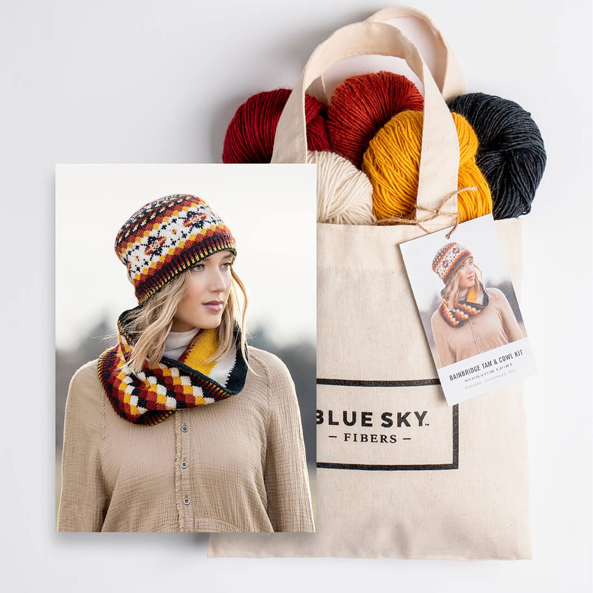 Blue Sky Fibers Kits - Bainbridge Hat and Cowl - Zoom Image