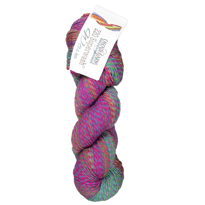 Cascade Yarns 220 Superwash Wave Yarn - 119 Wildflower - Extra Image