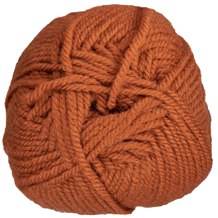 Plymouth Yarn Encore Worsted Yarn - 1236 Pumpkin Pie - Zoom Image
