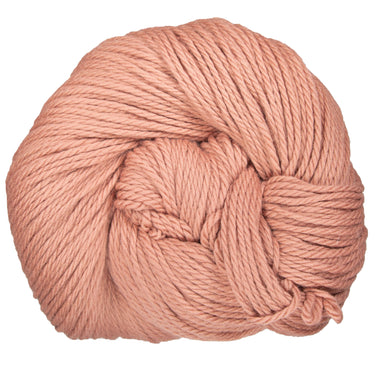 Cascade Yarns 220 Superwash Grande Yarn - 229 Ash Rose - Zoom Image