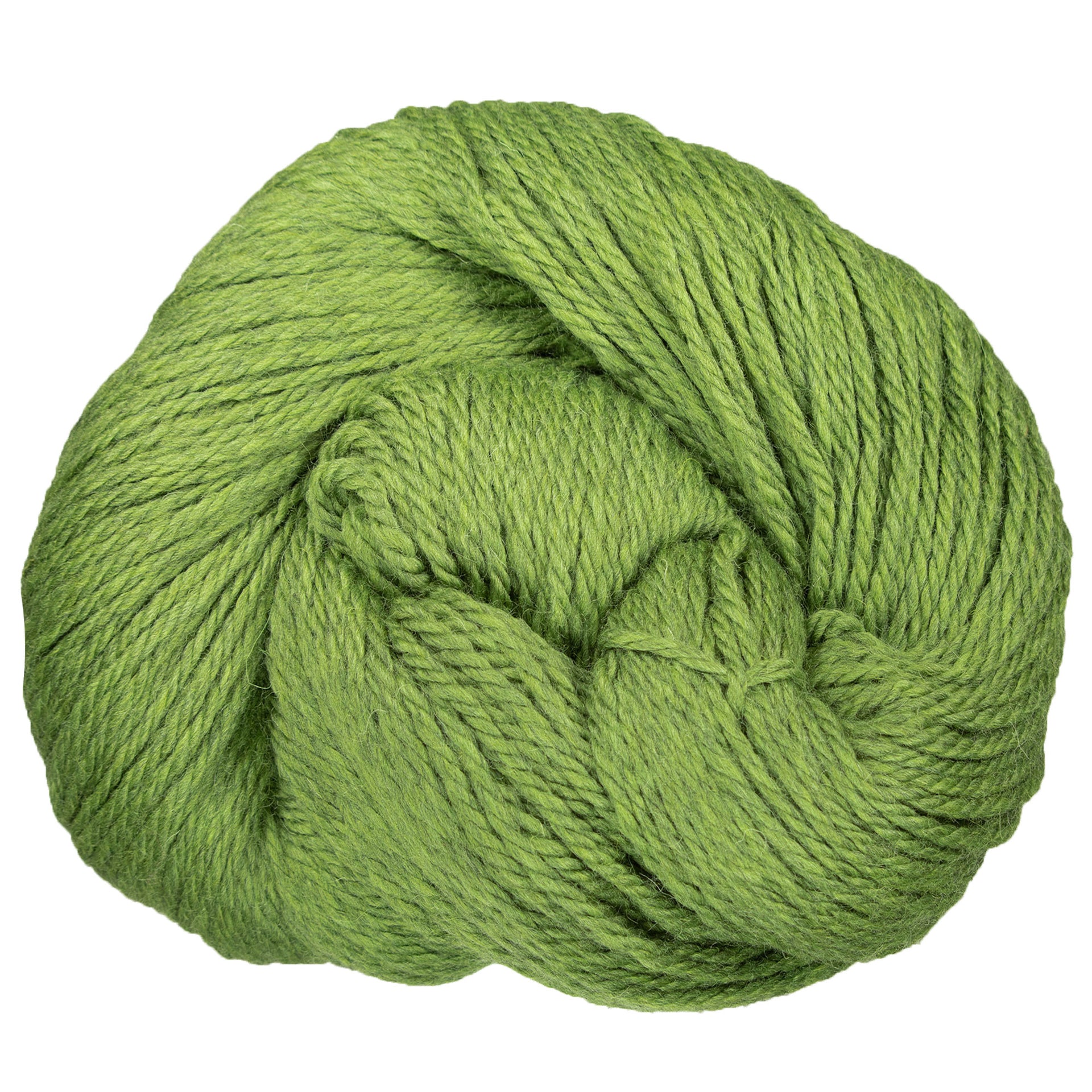 Cascade Yarns 220 Superwash Grande Yarn - 1919 Turtle - Zoom Image
