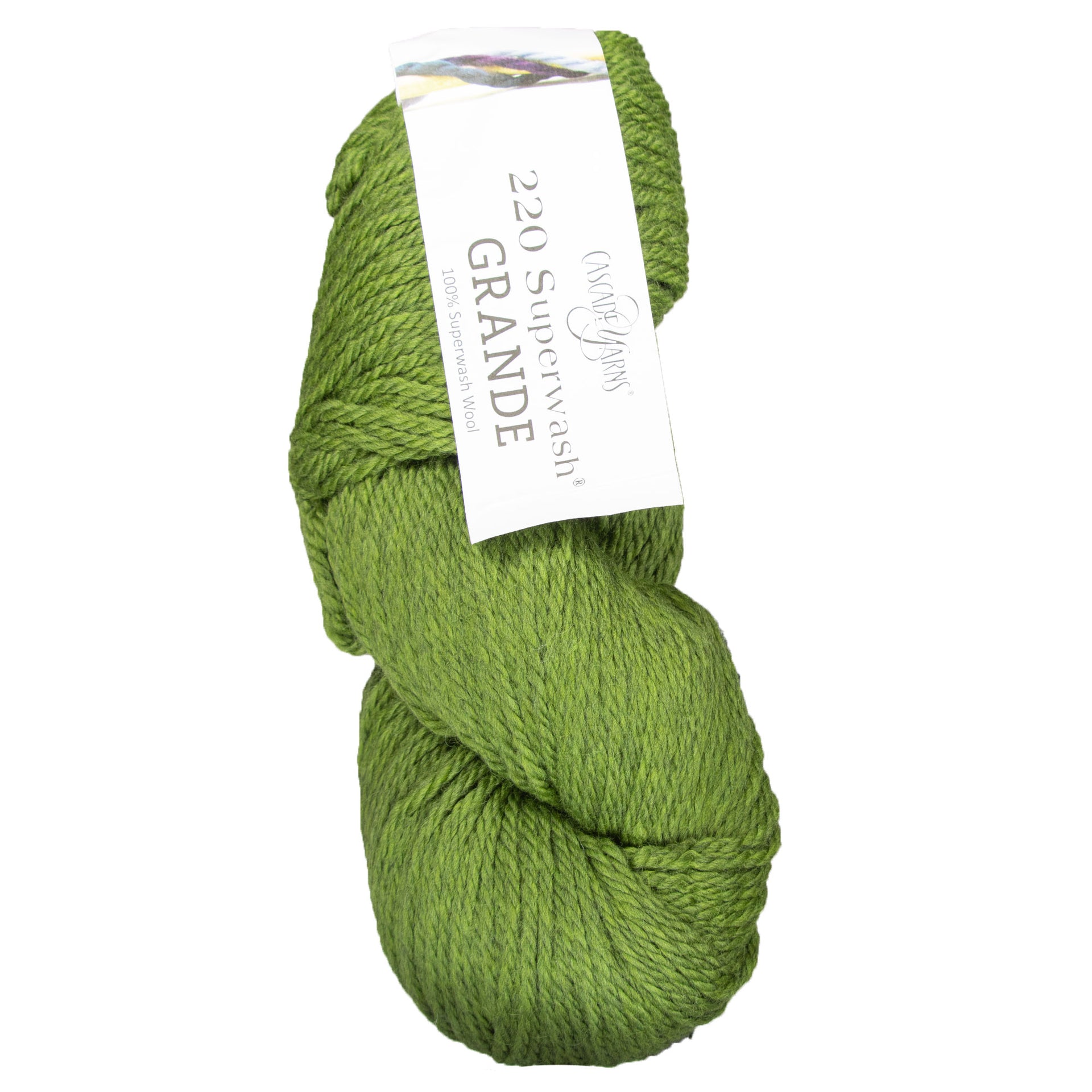Cascade Yarns 220 Superwash Grande Yarn - 1919 Turtle - Zoom Image
