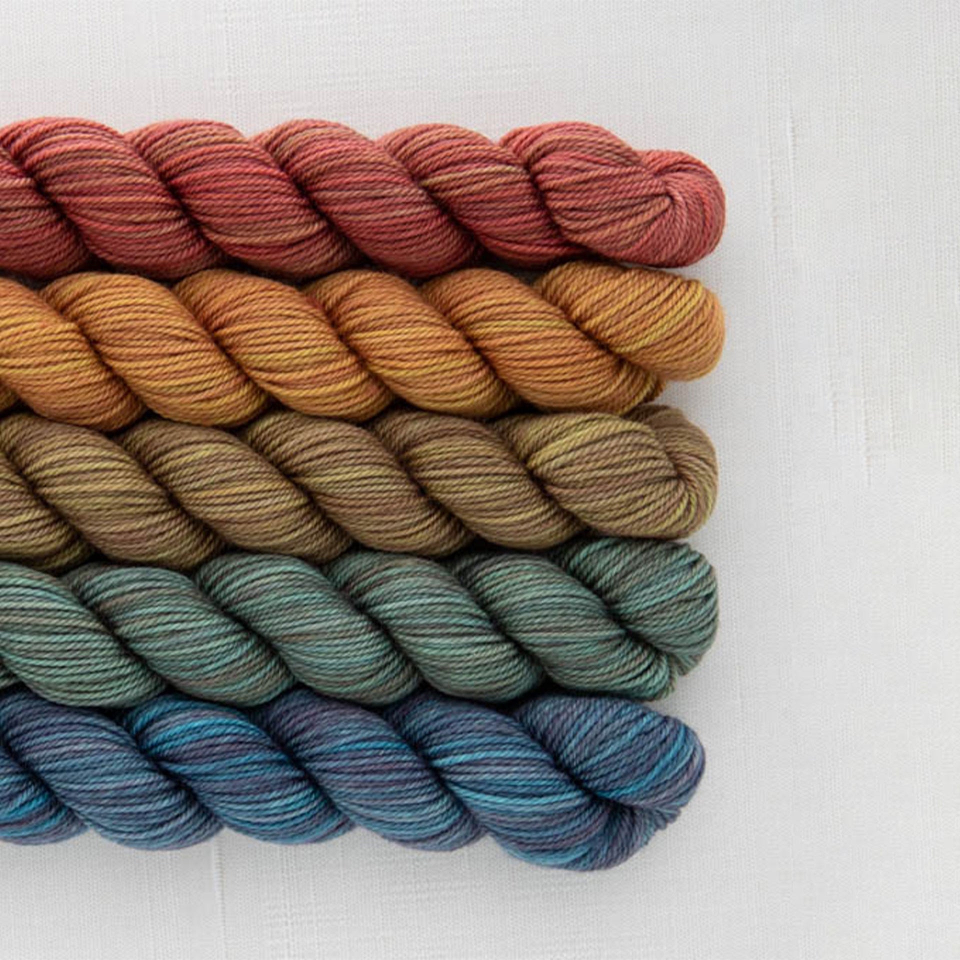 SweetGeorgia Tough Love Sock Party of Five Mini-Skein Set Yarn - Blazing Trails - Zoom Image
