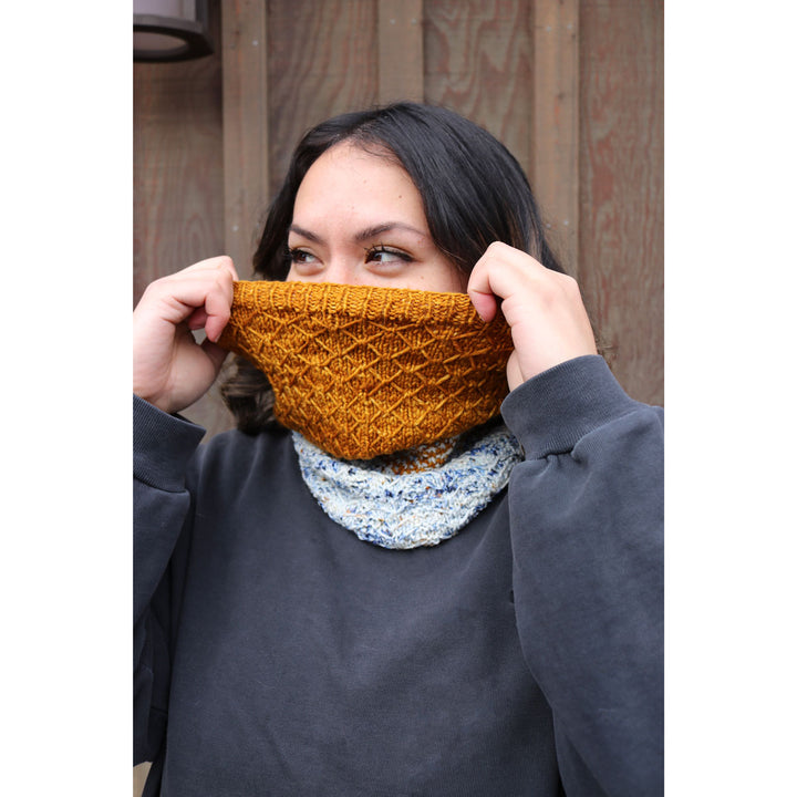 Madelinetosh Tangled Up in You Kits - Nutmeg / Sodalite - Extra Image