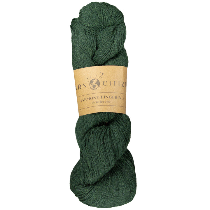 Yarn Citizen Harmony Fingering Yarn - Bristlecone - Zoom Image
