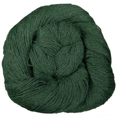 Yarn Citizen Harmony Fingering Yarn - Bristlecone - Zoom Image