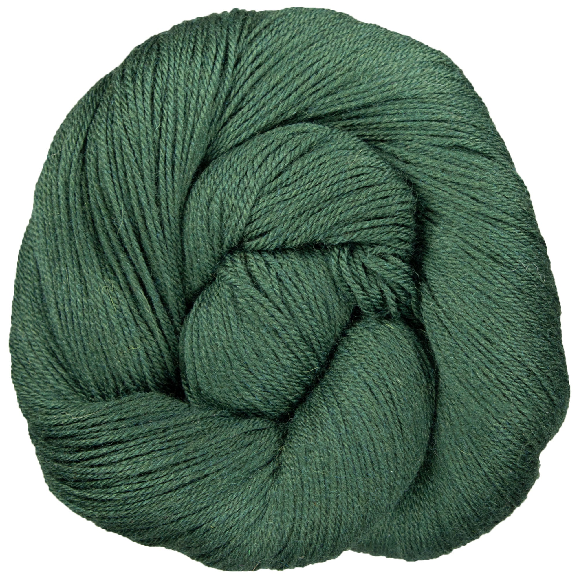 Yarn Citizen Unity Fingering Yarn - Bristlecone - Zoom Image