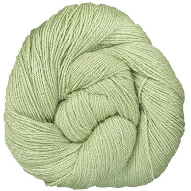 Yarn Citizen Unity Fingering Yarn - Sage - Zoom Image