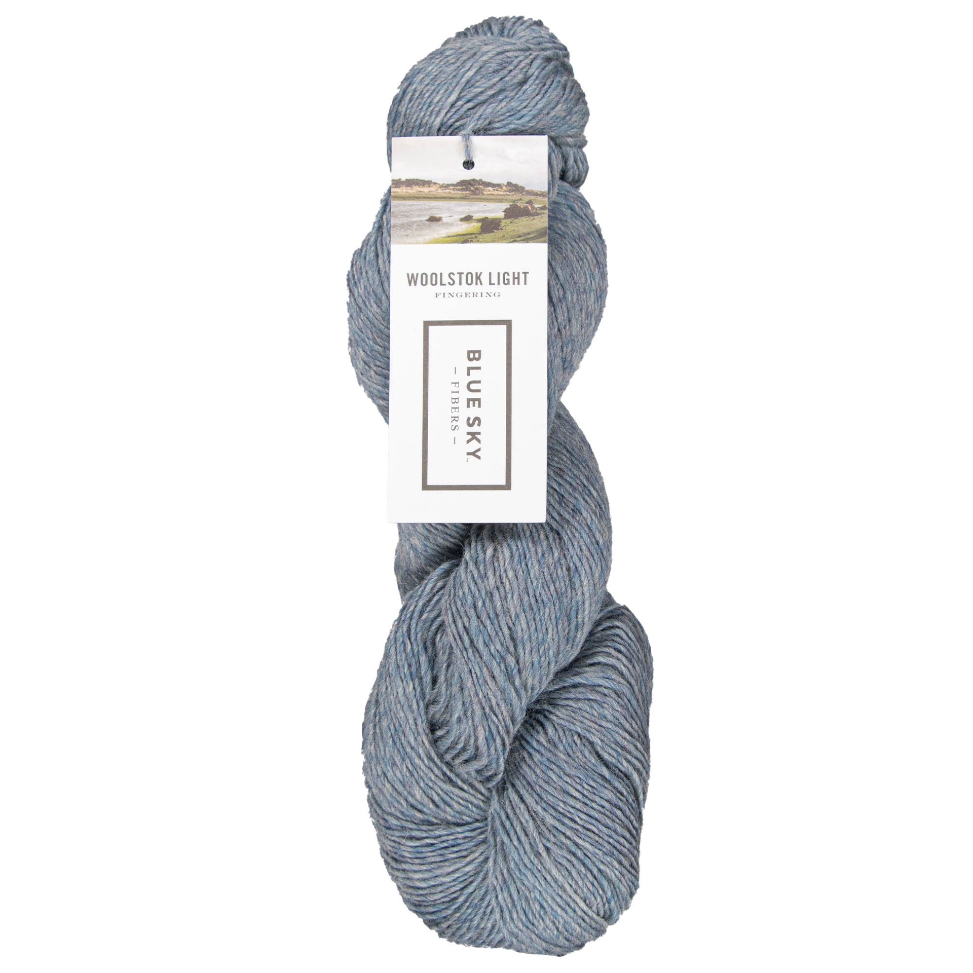 Blue Sky Fibers Woolstok Light Yarn - 2324 Morning Frost - Zoom Image
