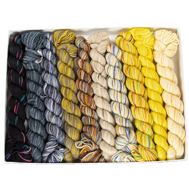Koigu Pencil Box Yarn - Side Road - Zoom Image