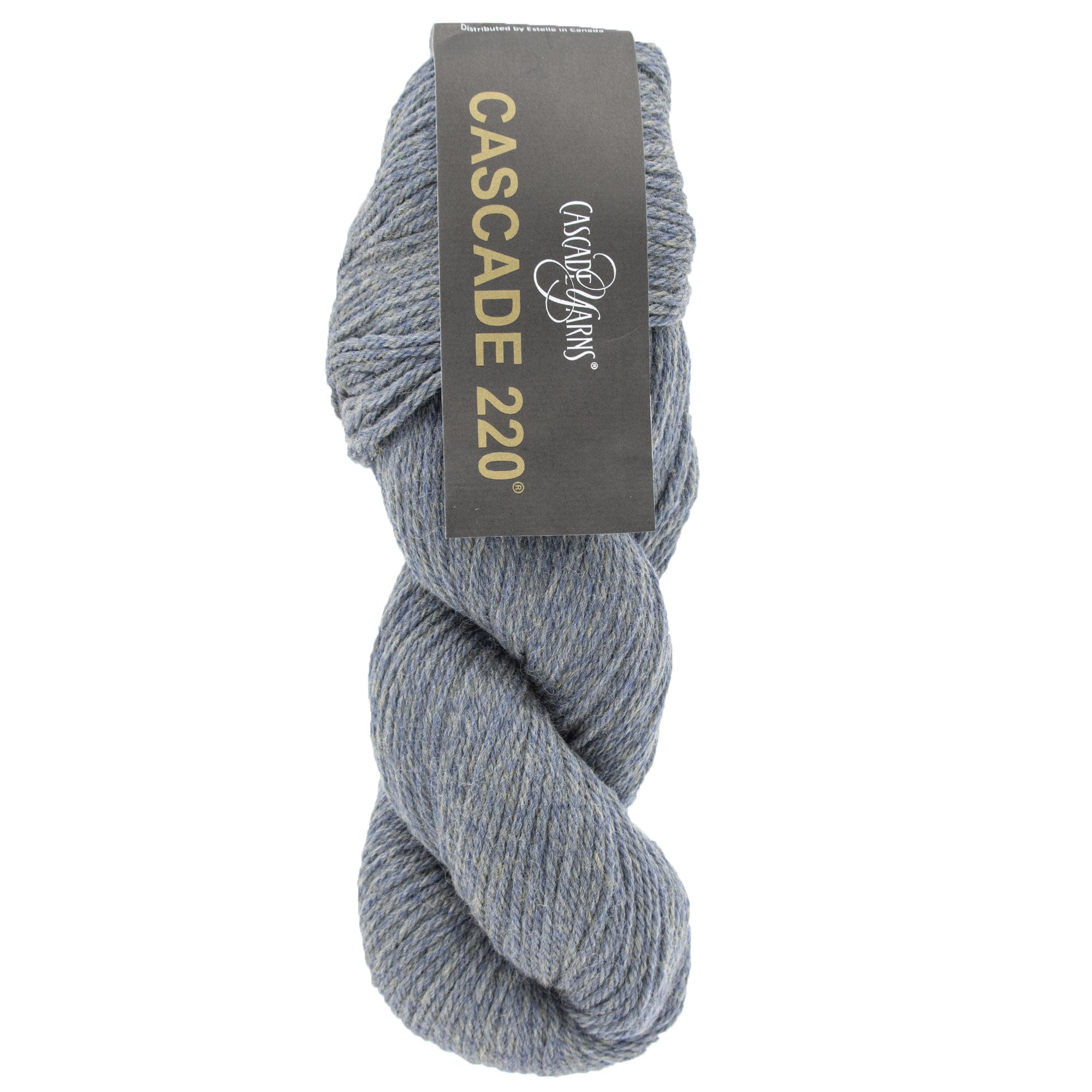 Cascade 220 Yarn - 1081 Coast Heather - Zoom Image