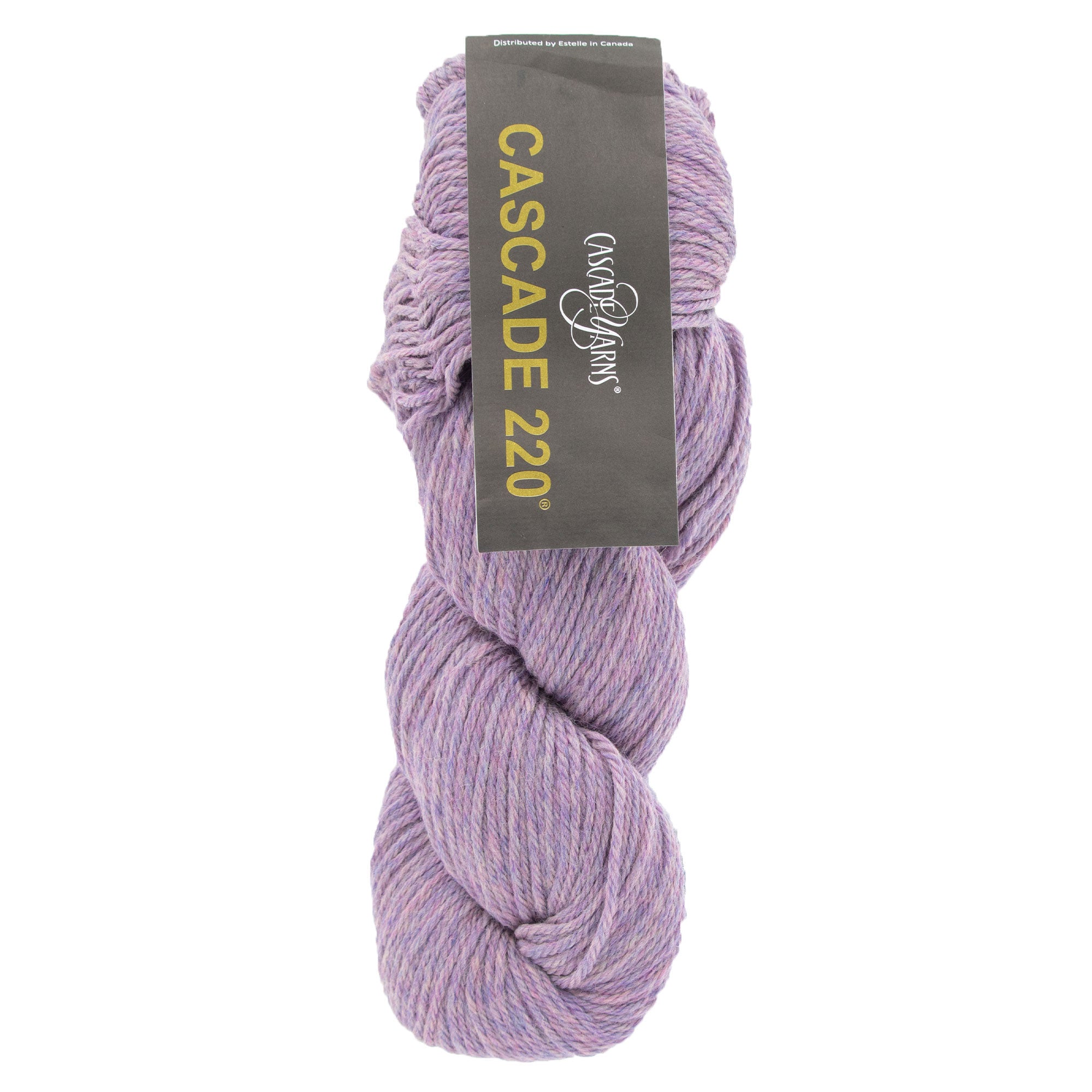 Cascade 220 Yarn - 1083 Sweet Pea Heather - Zoom Image