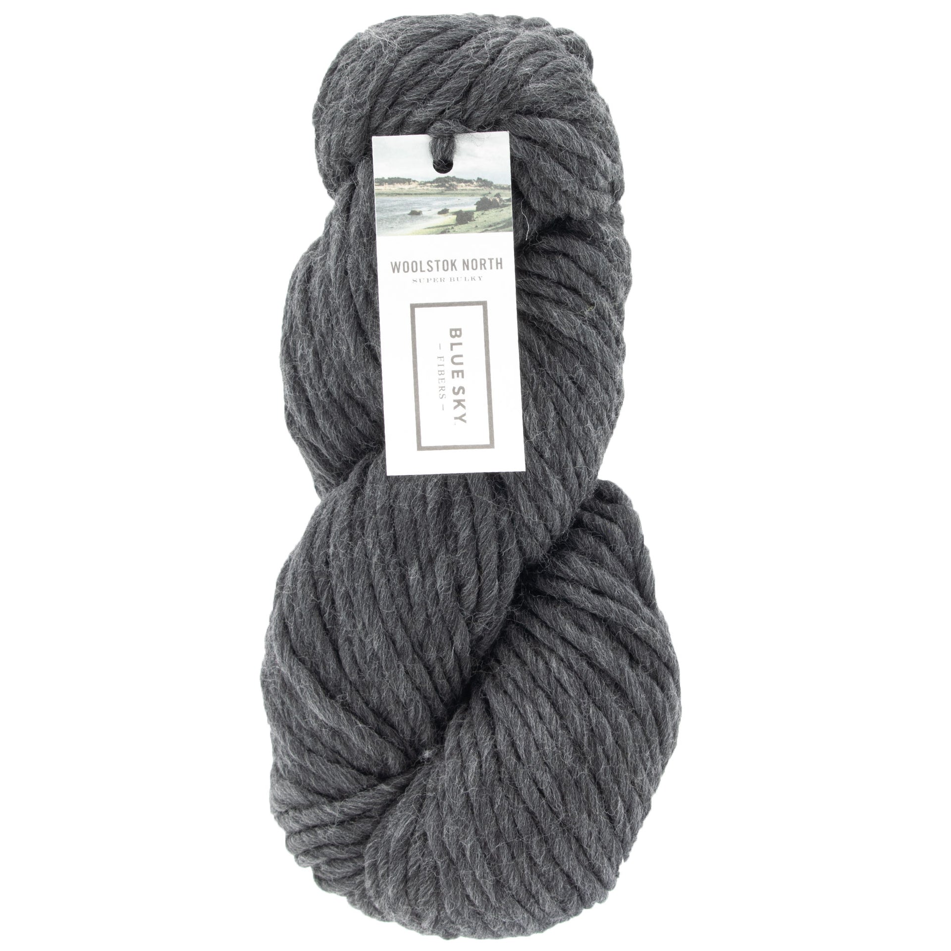 Blue Sky Fibers Woolstok North Yarn - 4300 Cast Iron - Zoom Image
