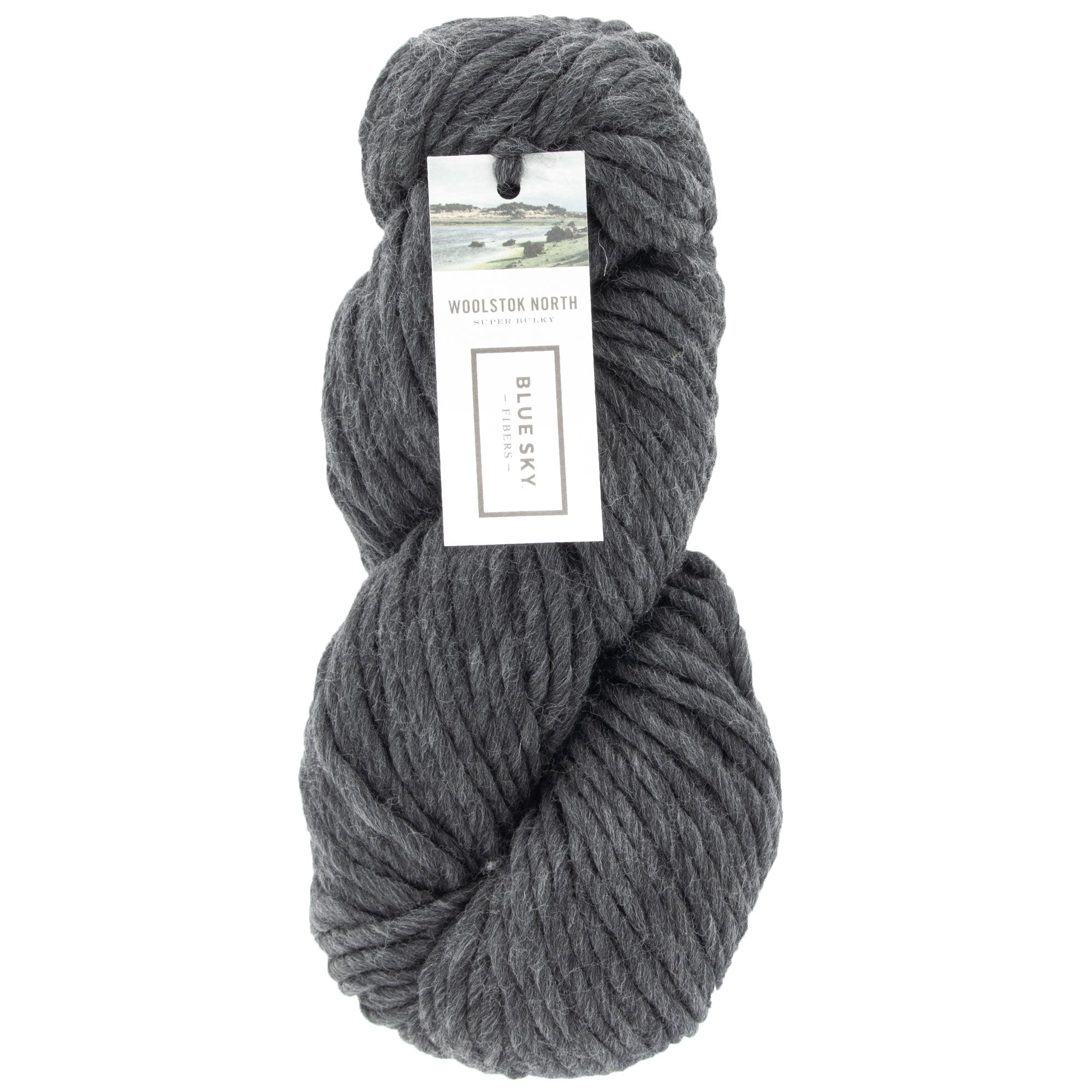 Blue Sky Fibers Woolstok North Yarn - 4300 Cast Iron - Zoom Image