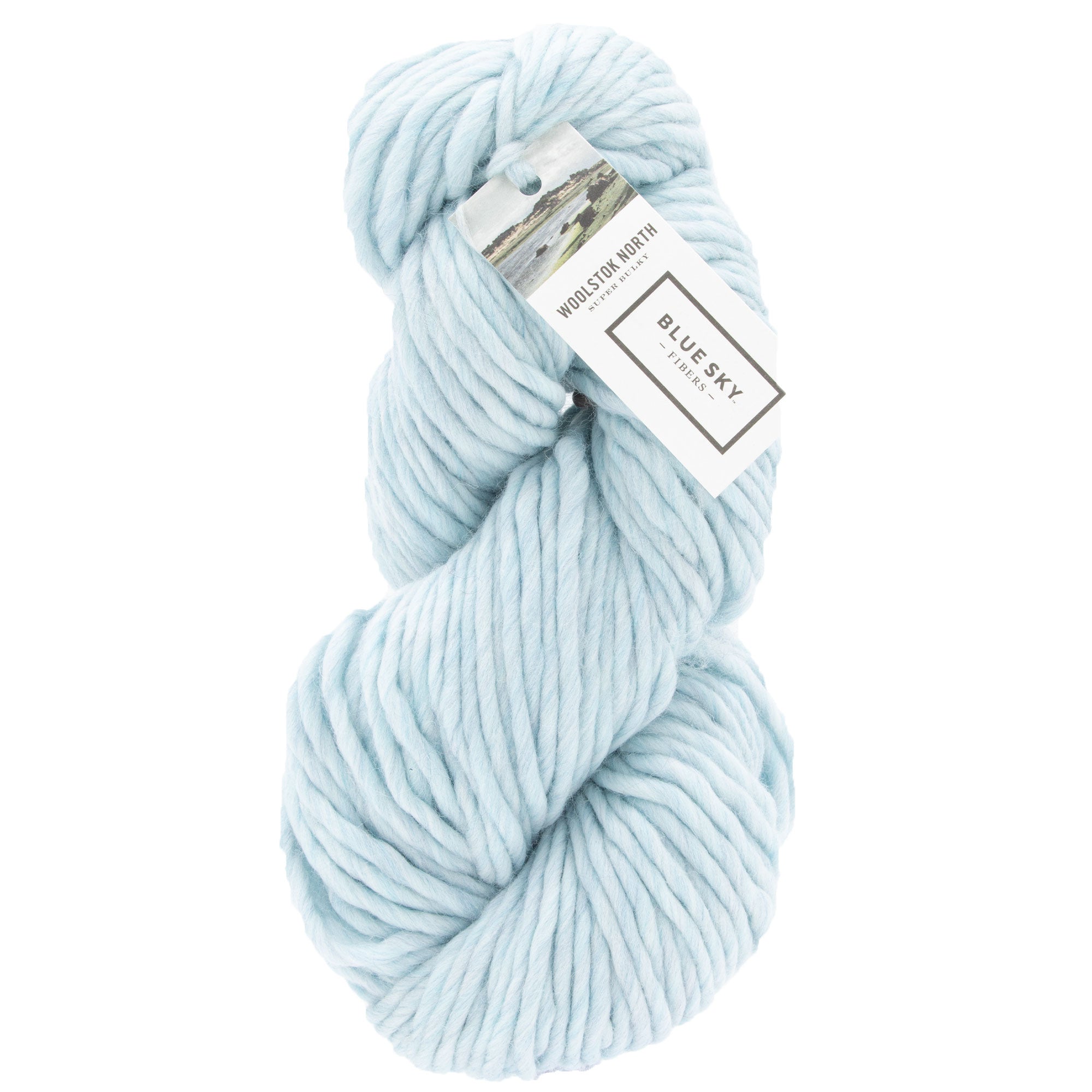 Blue Sky Fibers Woolstok North Yarn - 4318 Thermal Spring - Zoom Image