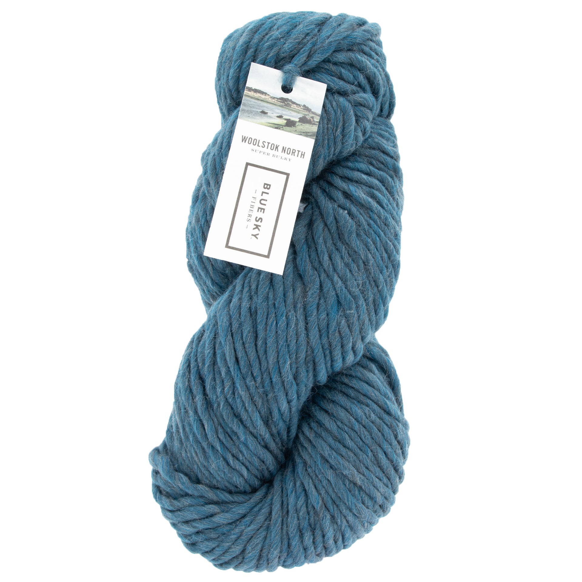 Blue Sky Fibers Woolstok North Yarn - 4321 Loon Lake - Zoom Image
